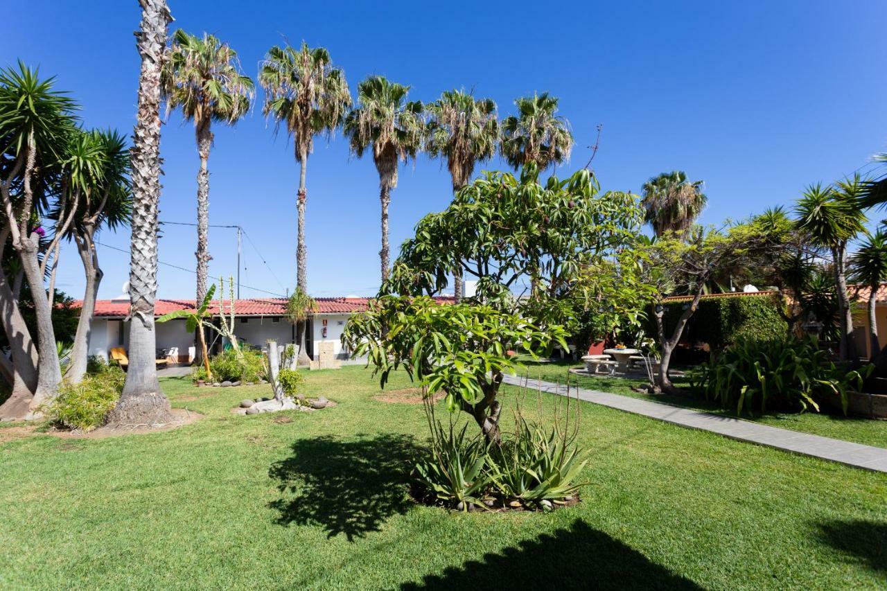 Finca La Gaviota - Las Palmeras อิคอดเดลอสวินอส ภายนอก รูปภาพ